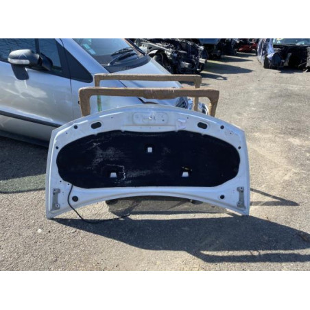 Capot RENAULT CLIO 3 Photo n°1