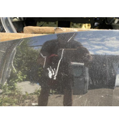 Capot RENAULT MEGANE 2 Photo n°6