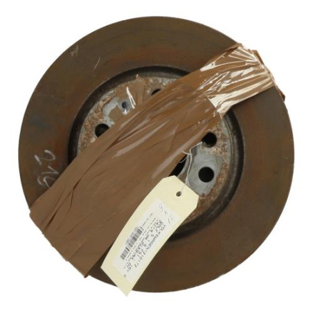 Paire de disques avant (freinage) VOLKSWAGEN GOLF 5 Photo n°1