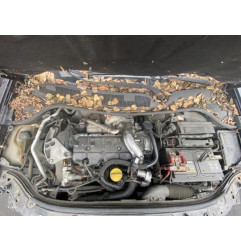 Vitre arriere droit RENAULT MEGANE 2 Photo n°9