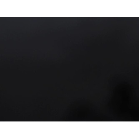 Attache ceinture arriere droit FORD FIESTA 6 Photo n°1