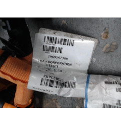 Faisceau (allumage) RENAULT ZOE 1