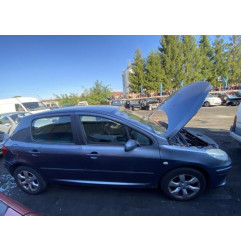 Capot PEUGEOT 307 Photo n°9