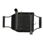 Echangeur air (Intercooler) KIA CARENS 2