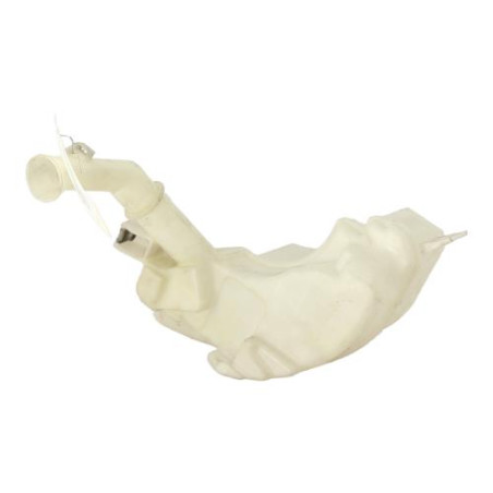 Vase de lave glace MAZDA 3 1 Photo n°1