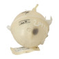 Vase d'expansion VOLKSWAGEN PASSAT 5
