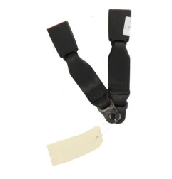 Attache ceinture arriere centrale FORD C-MAX 2 Photo n°3