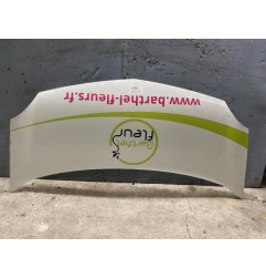 Capot RENAULT KANGOO 2 Photo n°4