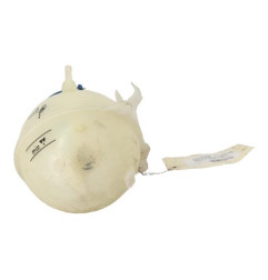 Vase d'expansion VOLKSWAGEN EOS Photo n°3