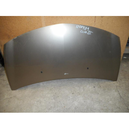 Capot RENAULT CLIO 3 Photo n°1