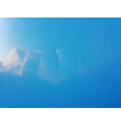 Capot RENAULT TRAFIC 2