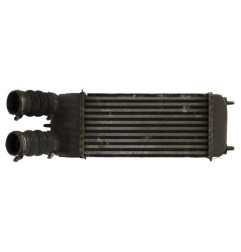 Echangeur air (Intercooler) CITROEN C3 PICASSO Photo n°1