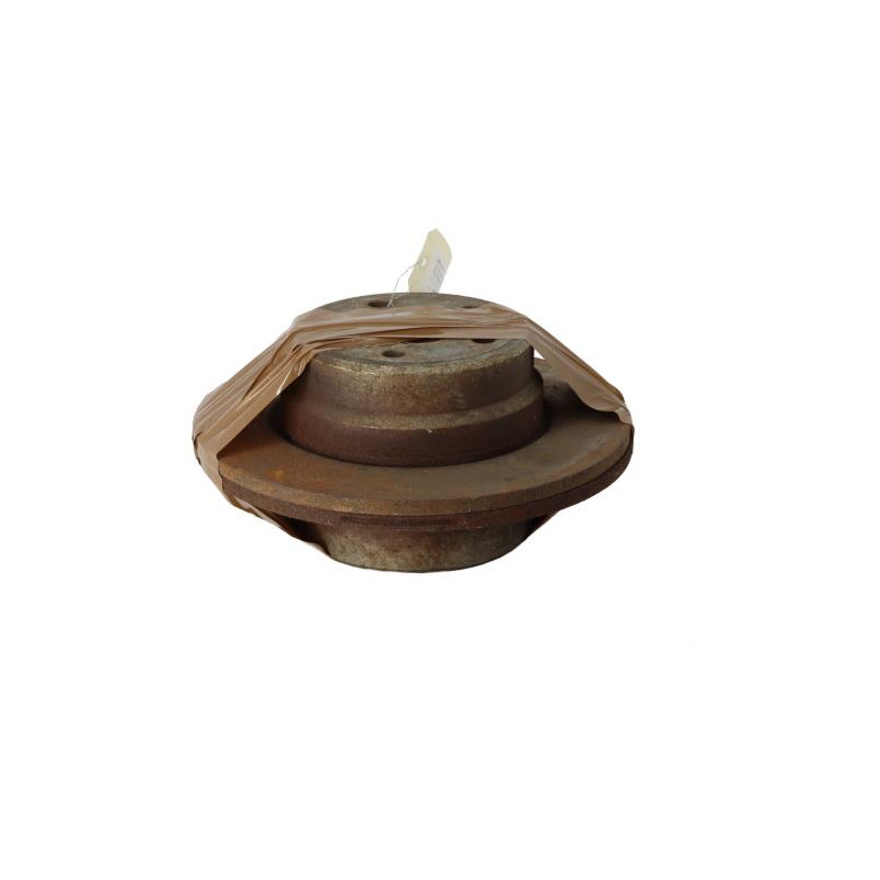 Paire de disques arriere (freinage) BMW X5 E53