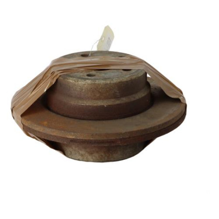 Paire de disques arriere (freinage) BMW X5 E53 Photo n°1