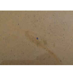 Capot VOLKSWAGEN TRANSPORTER 4 Photo n°6