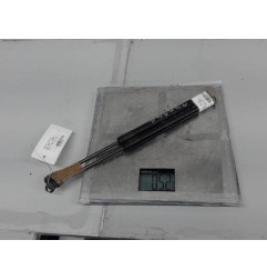 Verin de coffre DACIA DUSTER 1 Photo n°1