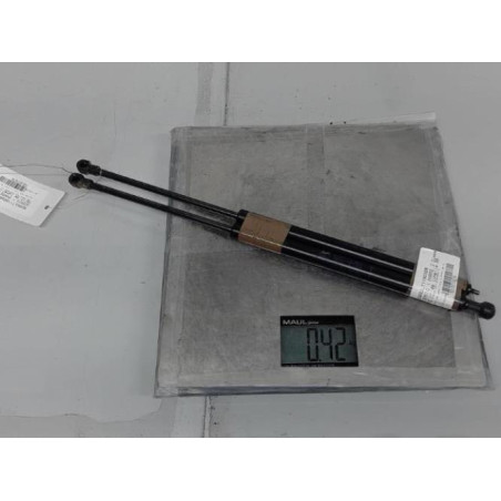 Verin de lunette arriere RENAULT SCENIC 1