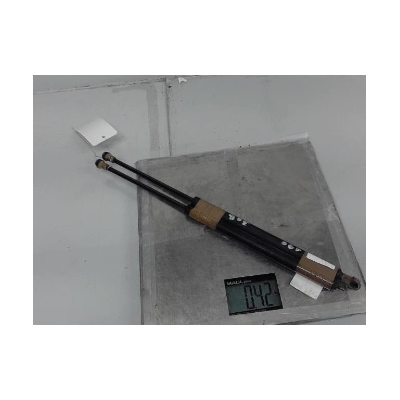 Verin de lunette arriere RENAULT SCENIC 1 Photo n°2