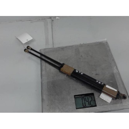 Verin de lunette arriere RENAULT SCENIC 1 Photo n°2