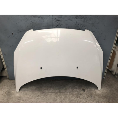 Capot PEUGEOT 307 Photo n°1