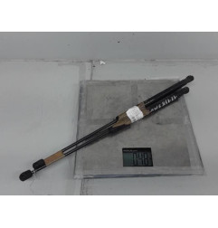 Verin de capot FIAT STILO Photo n°1