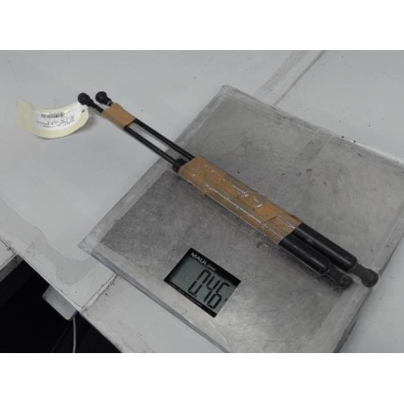 Verin de coffre PEUGEOT 307 Photo n°1