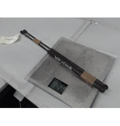 Verin de coffre PEUGEOT 1007 Photo n°1