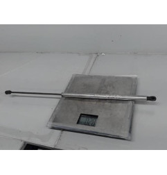 Verin de capot VOLKSWAGEN NEW BEETLE 1 Photo n°1