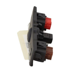 Bouton de warning RENAULT CLIO 2