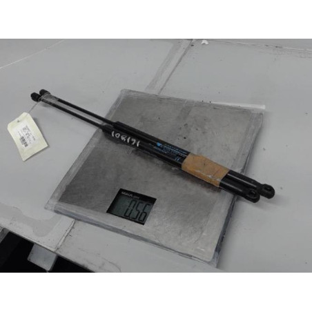 Verin de coffre PEUGEOT 1007 Photo n°1