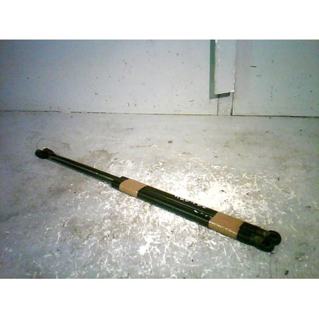 Verin de coffre FORD C-MAX 1 Photo n°1