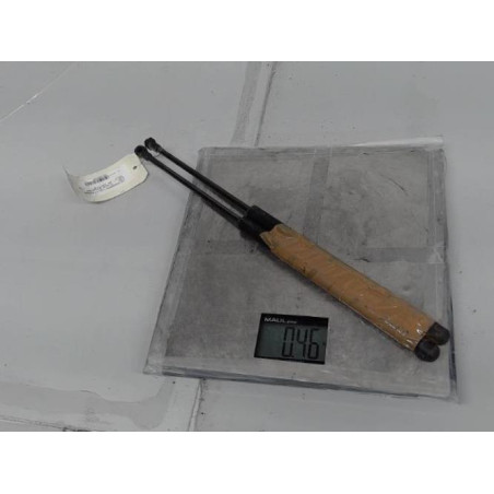 Verin de coffre VOLKSWAGEN FOX