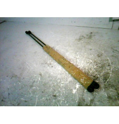 Verin de coffre MERCEDES CLASSE M 163 Photo n°1