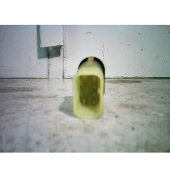 Interrupteur de leve vitre avant droit FORD FOCUS 1