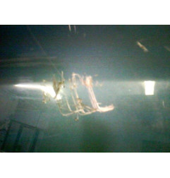 Aile avant droit AUDI A2 Photo n°5