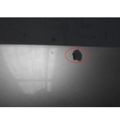 Capot CITROEN EVASION Photo n°4