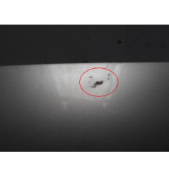 Capot CITROEN EVASION Photo n°5