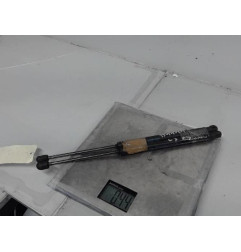 Verin de coffre CITROEN C3 1 Photo n°3