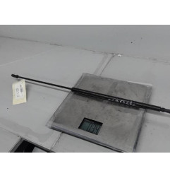 Verin de capot AUDI A4 1 Photo n°1