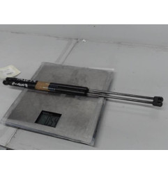 Verin de coffre PEUGEOT 1007 Photo n°1