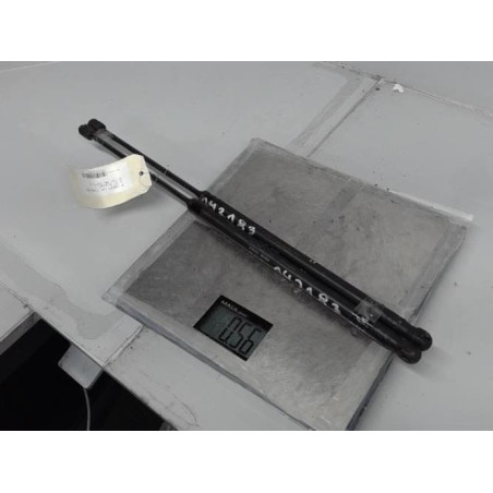 Verin de coffre PEUGEOT 1007 Photo n°1