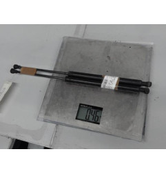 Verin de coffre PEUGEOT 307 Photo n°1