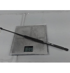 Verin de capot VOLKSWAGEN NEW BEETLE 1