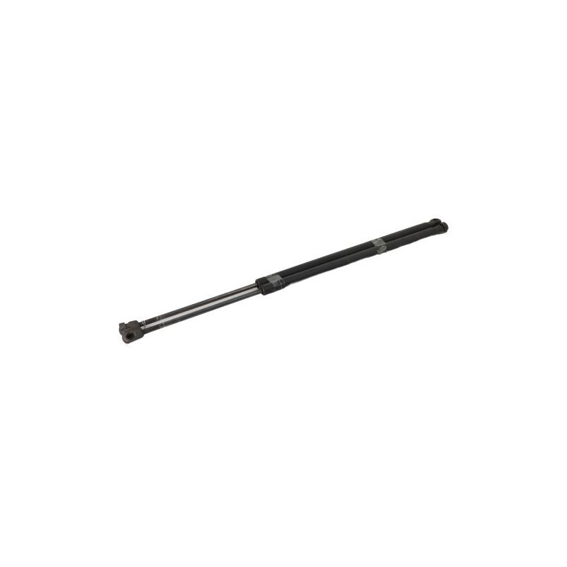 Verin de coffre FORD FIESTA 5