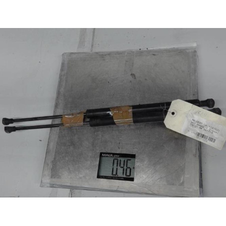 Verin de coffre PEUGEOT 307 Photo n°1