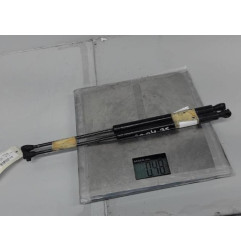 Verin de coffre RENAULT CLIO 1