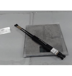 Verin de capot RENAULT VEL SATIS