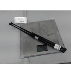 Verin de capot RENAULT VEL SATIS