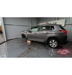 Feu arriere principal gauche (feux) PEUGEOT 2008 1 Photo n°9