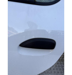 Porte arriere gauche DACIA SANDERO 2 Photo n°4